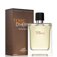 Hermes Terre D'Hermes (100 ML) EDT