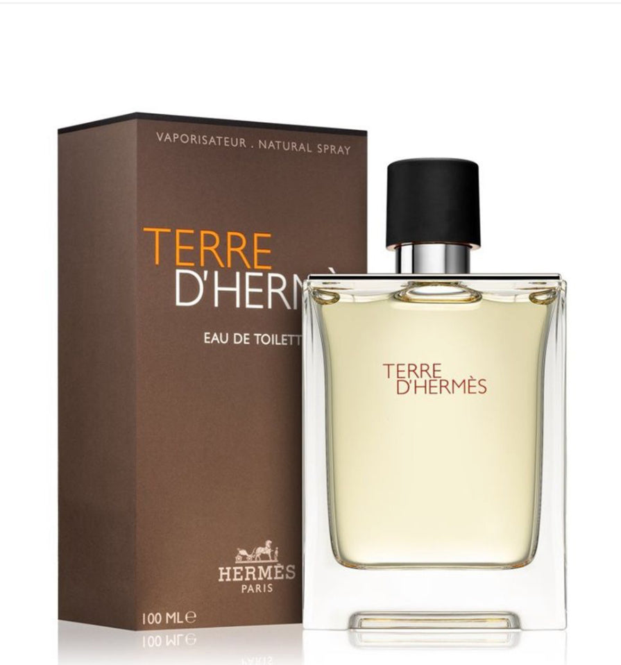 Hermes Terre D'Hermes (100 ML) EDT