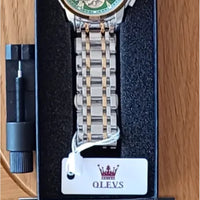 Olevs Automatic Skeleton H