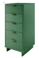 
              Tall Granville Modern 5 Drawer Dresser Sage Green - Manhattan Comfort ( L 96cm, La 45cm, H 120cm)
            