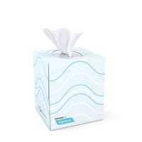 Facial Tissue 90 Sheets Cube Box