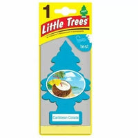 LITTLE TREES Caribbean Colada, 1-pièce (U6P60324)