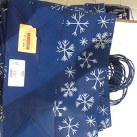 Spritz Snow Print Gift Bag